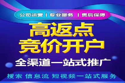 提升转化率：SEM竞价专员的案例研究